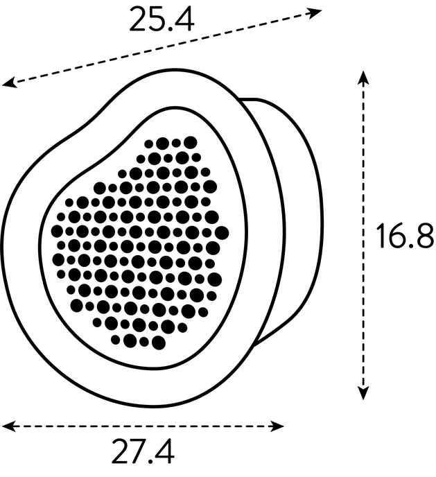 organic bee hotel 25cm marrone castagna